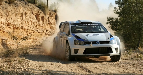 Testy Polo